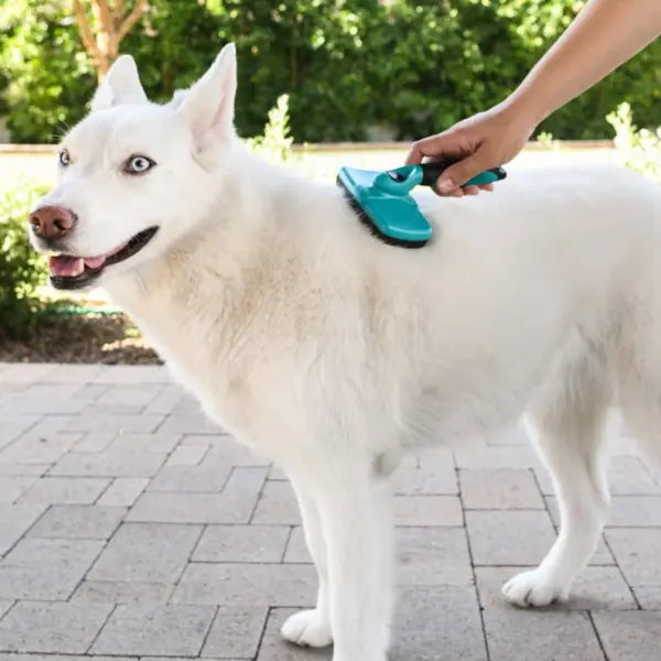 Self-Cleaning Slicker Grooming Brush for Pets, De-Shedding Brush for Dogs, for all Hair Types, Easy to Clean with Retractable Bristles